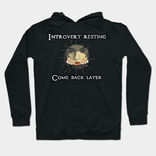 Introvert Resting Hoodie